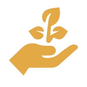Ikon som föreställer en växt, symboliserar tillväxt och utveckling.
